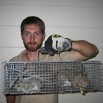 A technician in work gloves holding up a live trap with two squirrels inside.